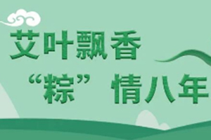 艾叶飘香 “粽”情八年