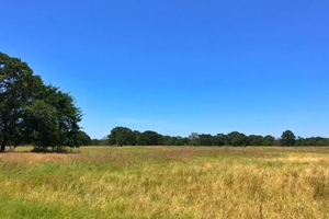 房产市场火爆，德州农地销售二季度上涨44%！