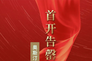 Austin 未来新城别墅项目首开告罄 销势如虹！