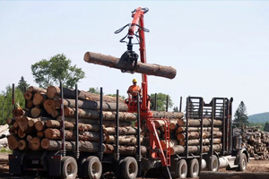 木材价格再度强劲反弹，预期将推动下一波价格上涨！