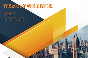 2021年WanBridge项目年报及2022年发展展望